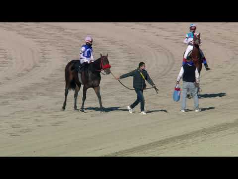 200816 c06 Romantico