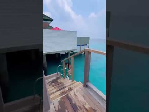 Anushka Sen hot viral video 😍🥵 #shorts #anushkasen