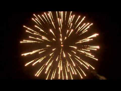 PFP11412   100mm Shell   Silver Peony