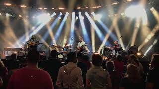 Wilco - Shot in the arm