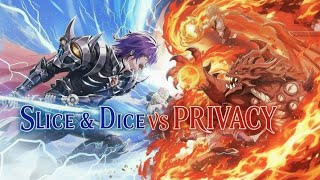 Download lagu ROX Global xGVG: Slice & Dice VS PRIVACY mp3 Download lagu ROX Global xGVG: Slice & Dice VS PRIVACY mp3