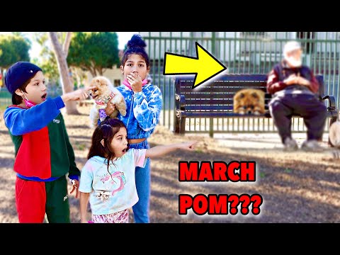 Did We Finally Find Our MISSING Puppy March Pom In This DOG PARK?!! ** SHOCKING** | Familia Diamond