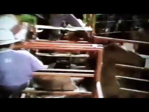 montaria em cavalo (Rodeio de prata Minas Gerais Ano 1991)