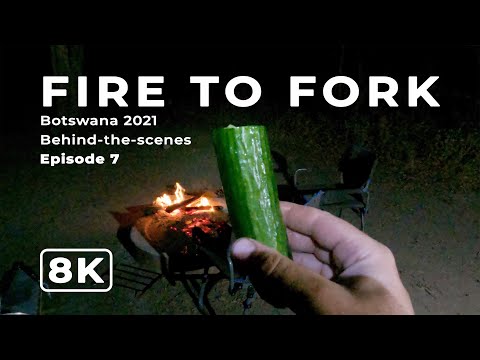 Fire to Fork | Botswana 2021 Ep 7 | Behind-the-scenes filming African wildlife in 8K