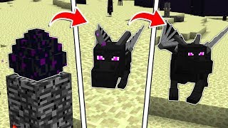 Download lagu LIFE OF A MINECRAFT ENDER DRAGON!! mp3