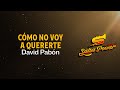 Cómo No Voy A Quererte, David Pabón - Video Letra - Salsa Power
