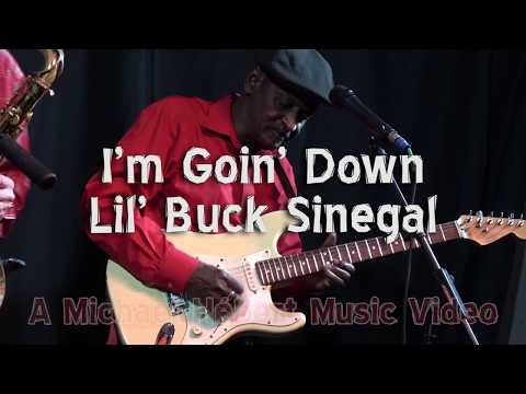 I'm Goin Down - Lil' Buck Sinegal