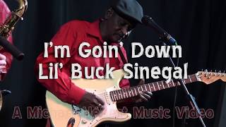 I'm Goin Down - Lil' Buck Sinegal