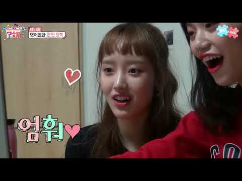 Kpop loves white men