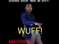 WUFF! BY UMAR MB SABUWAR WAKA