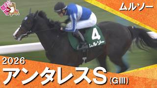2026年アンタレスステークス(ＧⅢ) ムルソー　実況：服部優陽 【カンテレ公式】