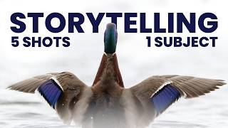 5 Shot Types for Better Wildlife Storytelling | Peter Dam