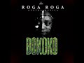 roga roga_ BOKOKO (ft extra musica)