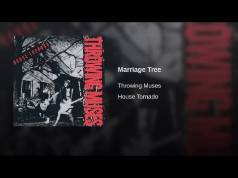 Video thumbnail for Marriage Tree