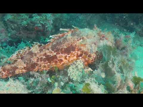 Unterwegs mit Dining Center Puntizela