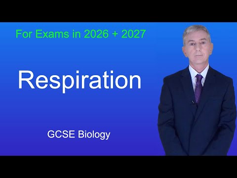 GCSE Biology Revision "Respiration"