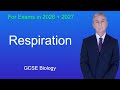 GCSE Biology Revision Respiration