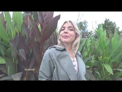 Bella Popescu - Imbătrînesc..., mă trec ca norul...