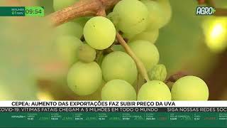 Miniatura do vídeo