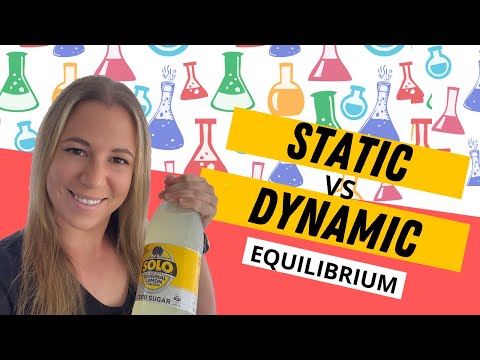 Static equilibrium vs dynamic equilibrium (video)