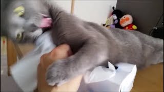 Attach YouTube