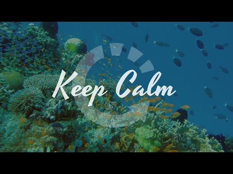 Dj Jynocks - Fetty Wapp (Zouk Kompa Remix) 2016