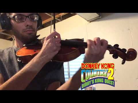 Bramble Blast - Violin "Re-Cover" - DKC2 / Super Smash Bros. Brawl