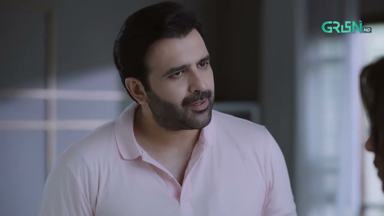 Bohat Bura Kiya Apne Bhai Ke Sath | Rahguzar | Hira Mani - Mohib Mirza | Green TV Entertainment