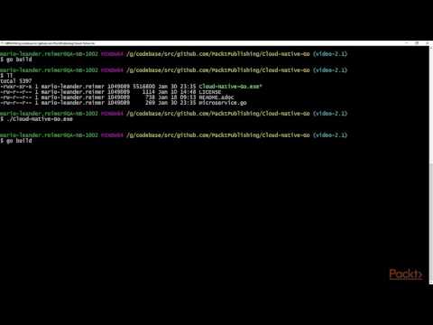 Getting started with Cloud Native Go Simple Go HTTP Server Implementation | packtpub com