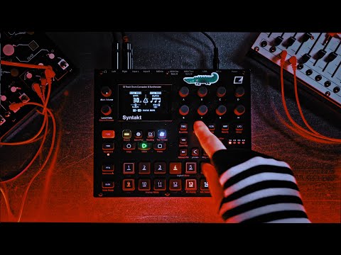 SYNTAKT GABBER GEZICHTSSCHOP // TERROR 208 BPM #hardcore