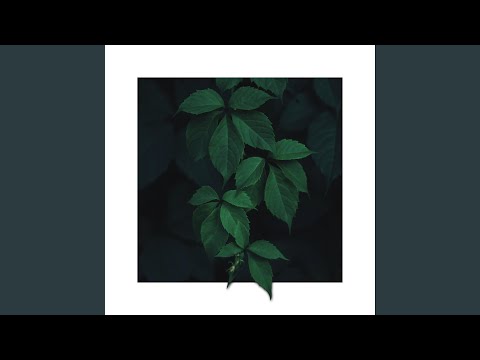 Untitled Plant Song - GBSN