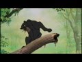 The Jungle Book 2016 Trailer 1967 Style