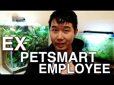 YouTube video about: Does Petsmart sell male and female fish?