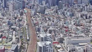 動画のサムネイル