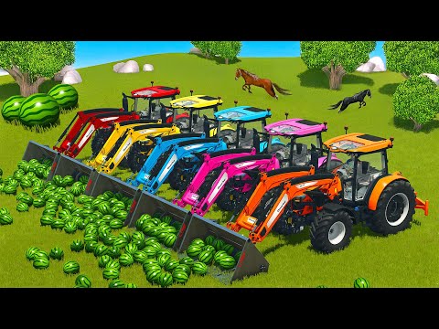 LOAD AND TRANSPORT WATERMELONS WITH CLAAS TRACTORS - Farming Simulator 25