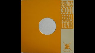 Paradise 3001 - Cherry High #2 ESP records 1993