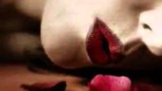 Angelina - Marillion.wmv