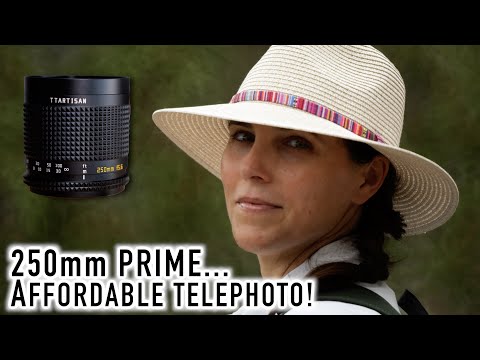 Mirror Lenses. Good? Bad? TTArtisan 250mm f/5.6 Reflex Review