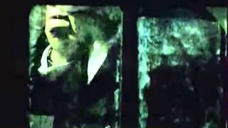 Alain Bashung - La nuit je mens