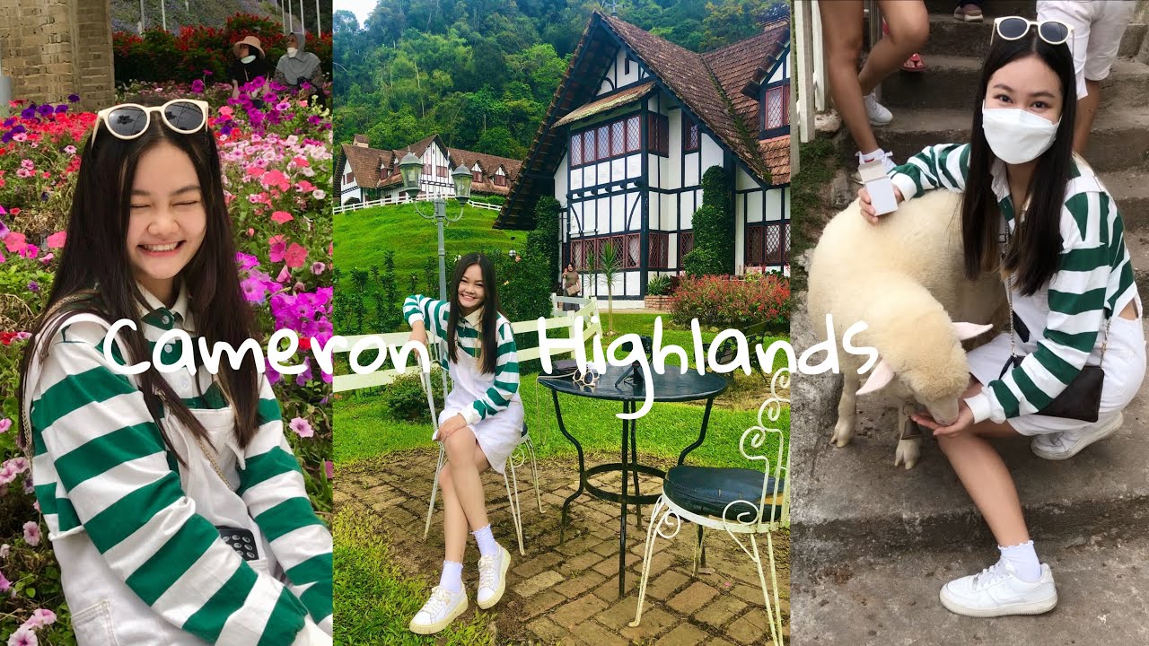【Cameron Highlands Vlog】最强攻略2D1N金马伦旅行！花海Flora Park 在Sheep Sanctuary喂超可爱的绵羊 拍照超好看的英国风The Lake House！