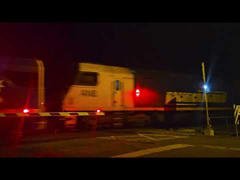 1MP2 PN Steelie train, Melbourne to Perth, 2105, 1/9/24, Ararat West VIC.