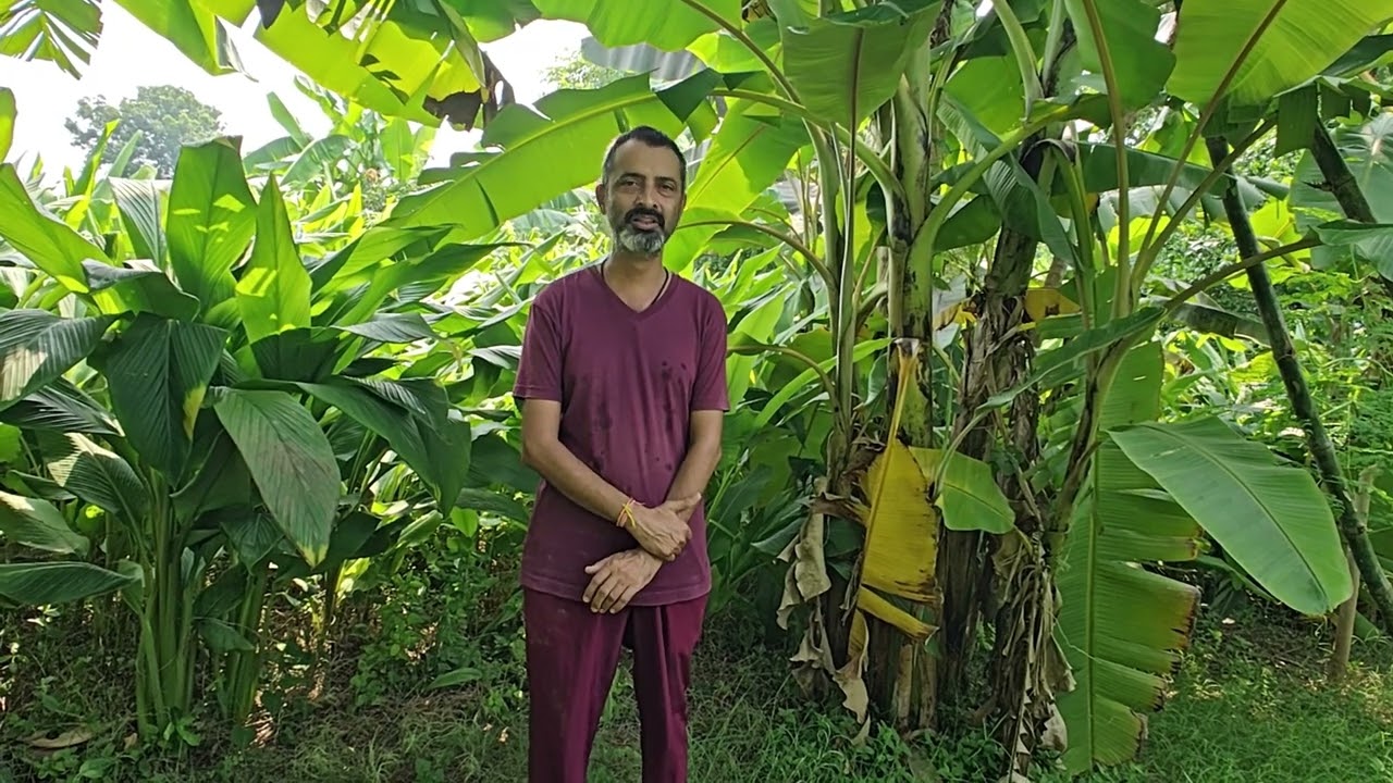 Trainee feedback video