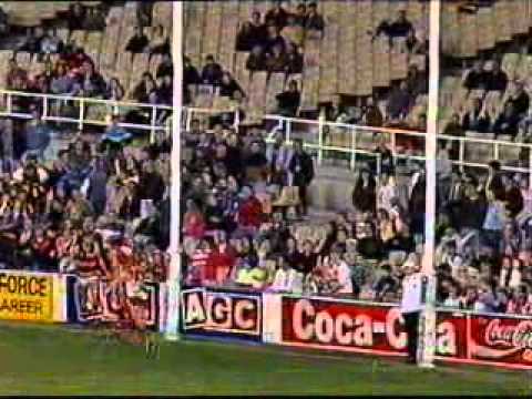 1993 AFL - ROUND 14 - ADELAIDE V SYDNEY