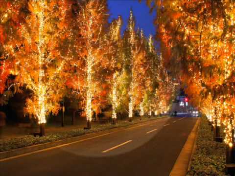 fly me to the moon ～autumn leaves.wmv