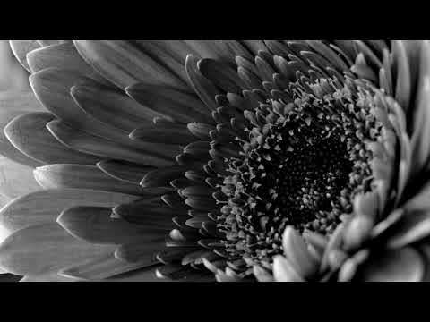 Austin Millz,Sabrina Claudio-InhaleExhale