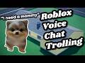 Trolling as a cute DEMONIC PUPPY on Roblox Voice Chat... DEFAULT Thumbnail