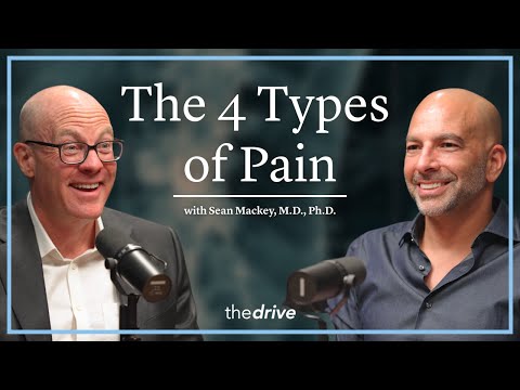 @PeterAttiaMD - "The 4 Types of Pain: What Type of Pain Are You Actually Feeling? | Sean Mackey, M.D., Ph.D."