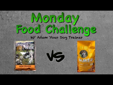 Taste of the Wild vs IAMS: Monday food mash-up