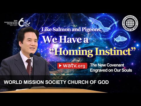 The New Covenant Engraved on Our Souls | WMSCOG, Church of God