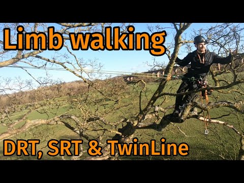 The Ultimate limb walking guide! (How to limb walk Drt, Srt & Twin Line)